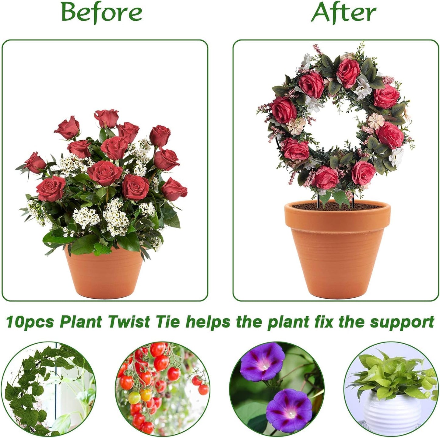 Plant Climber Support Trellis for Climbing Plants