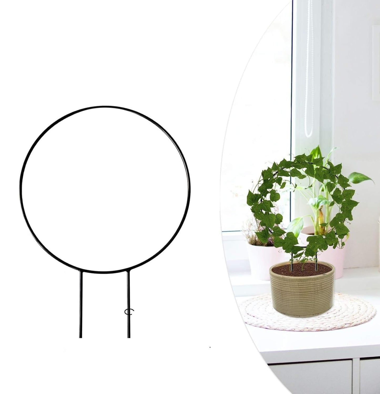 Plant Climber Support Trellis for Climbing Plants