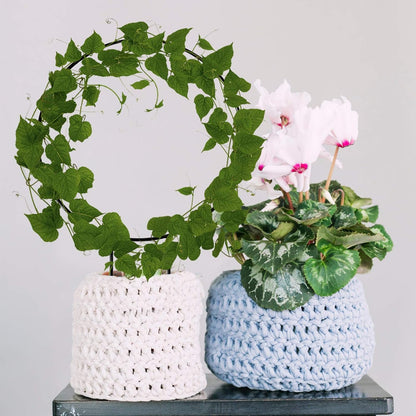 Plant Climber Support Trellis for Climbing Plants