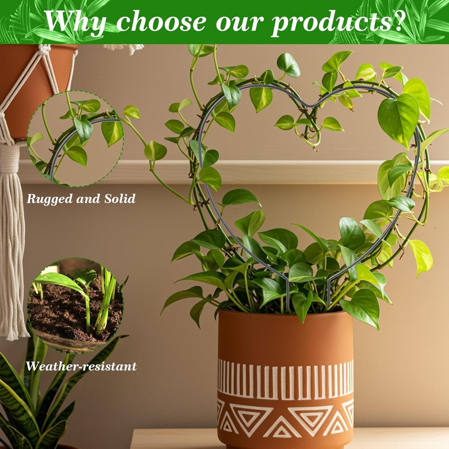 Plant Climber Heart Shaped Support Trellis for Climbing Plants