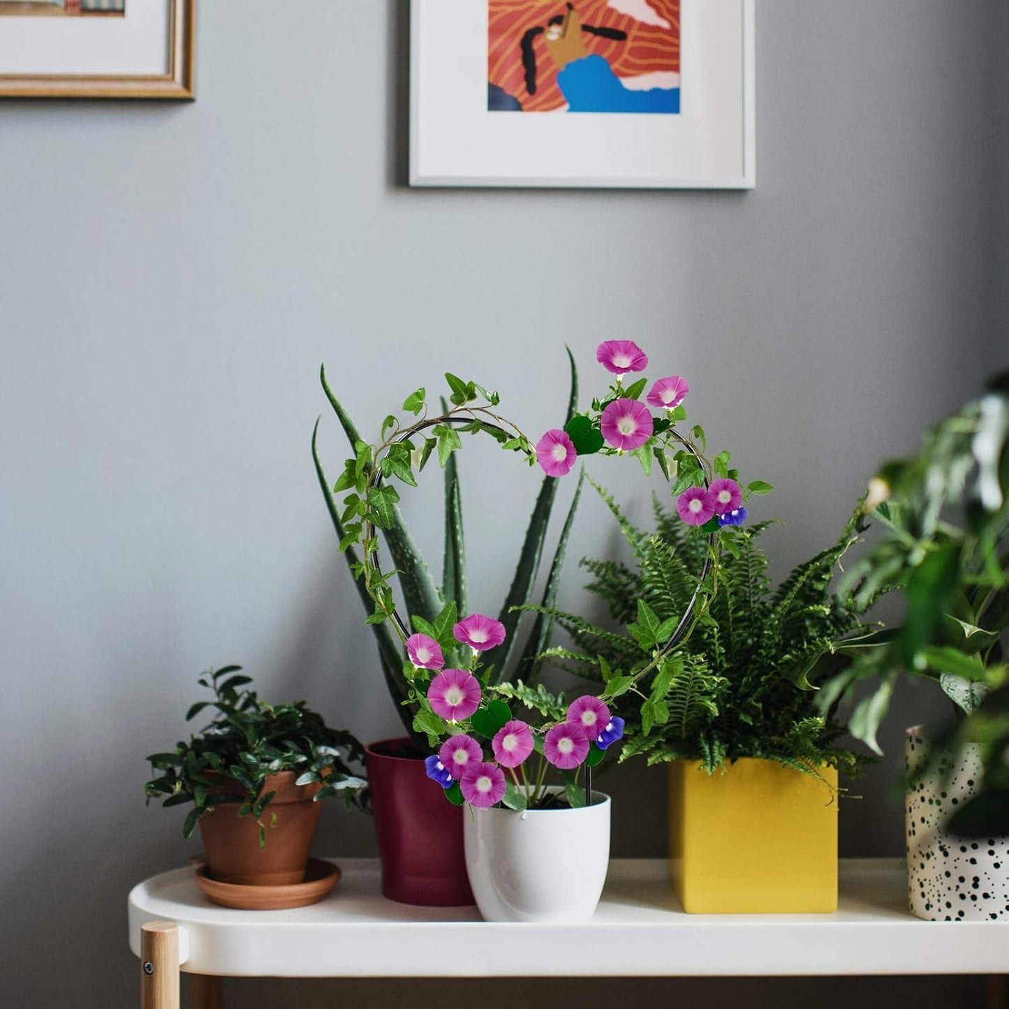 Plant Climber Heart Shaped Support Trellis for Climbing Plants